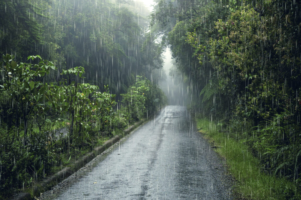 Kerala heavy rain news