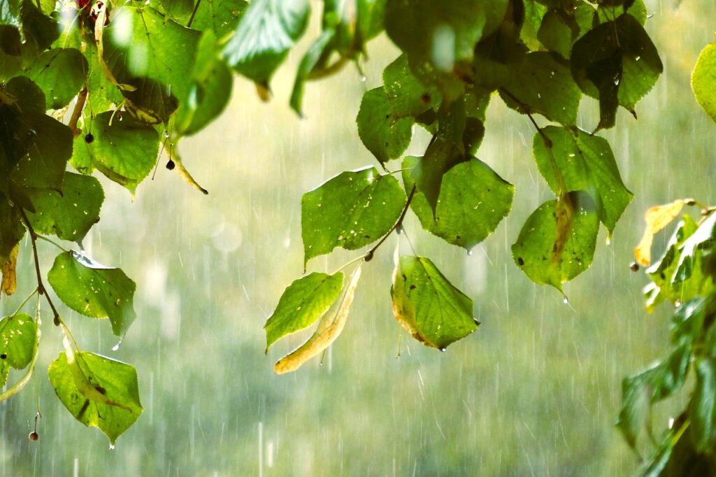 1 June 2025 ka Mausam