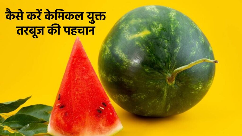 Chemical Se Pake Tarbooz Ki Pehchan Kaise Karein