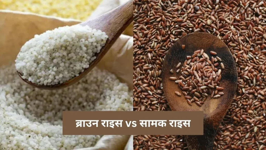 Brown Vs Samak Rice