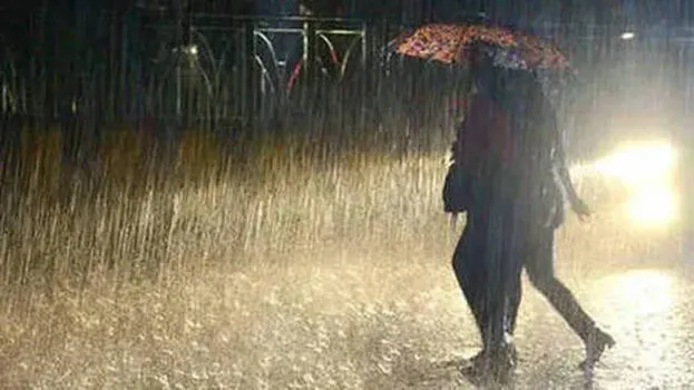 Rain Alert