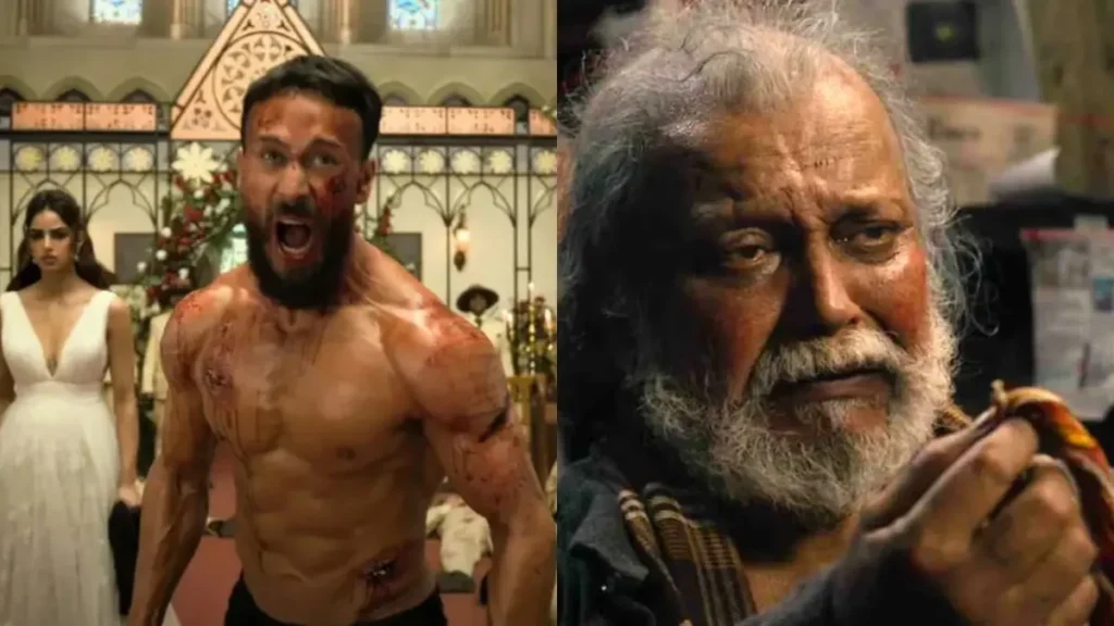 Baaghi 4 box office collection